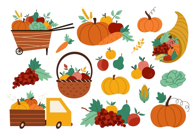 Autumn harvest set Vector farm vegetables fruit and berry collection with pumpkins carrot apple cabbage corn pear grapes Funny fall illustration with basket truck wheelbarrow cornucopia