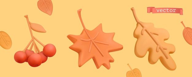 Autumn icon set. Red rowan, orange maple leaf, yellow oak leaf. 3d vector plasticine art objects