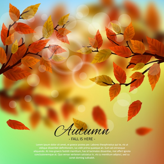 Autumn illustration background template