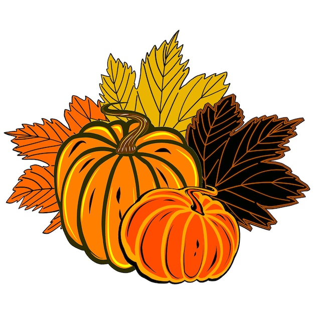 Autumn illustrations of two orange round ripe pumpkins with colorful maple leaves