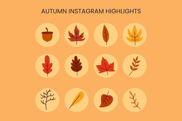 Autumn Instagram Highlights