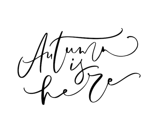 Autumn is here lettering calligraphy text isolated white background Hand drawn vector illustration