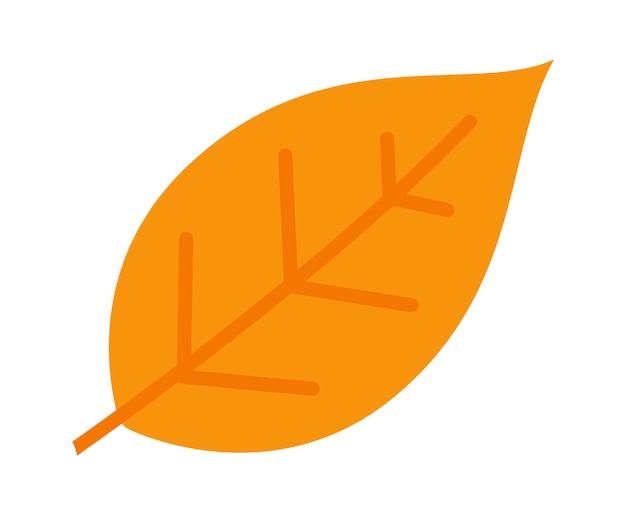 Autumn Leaf Fall Plant icon Vector illustration