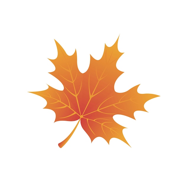 autumn leaf vector design