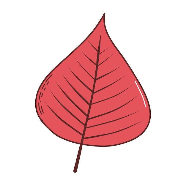 Autumn leaf Vector illustration in hand drawn style