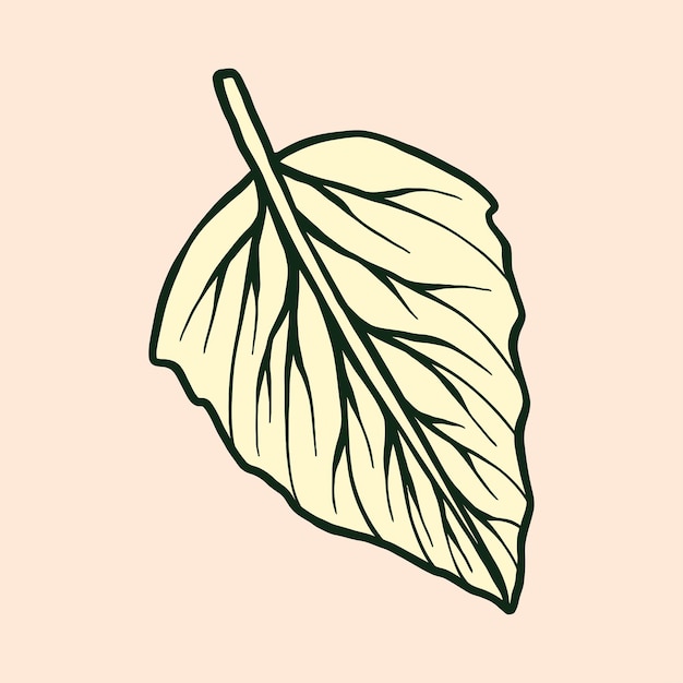 autumn leaf vector illustration