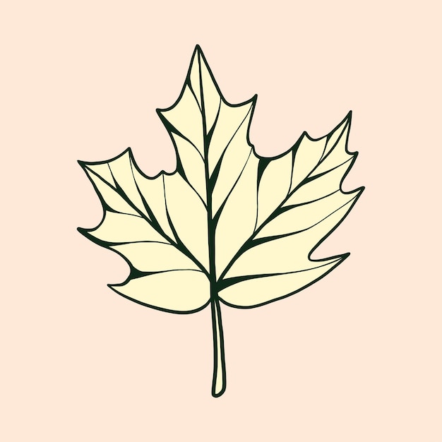 autumn leaf vector illustration