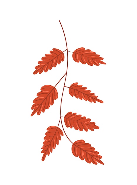 Autumn leaf on white background. Vector illustration