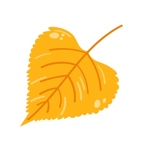 Autumn leaf on white background. Vector illustration