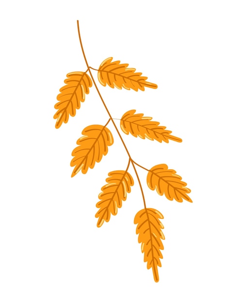 Autumn leaf on white background. Vector illustration