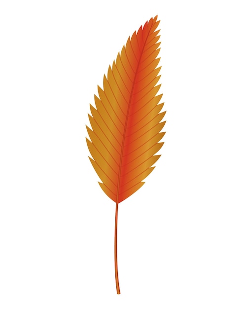 Autumn leave Symbol with watercolor texture vector illustration Isolated design element tree leaf Leave for seasonal greeting card design