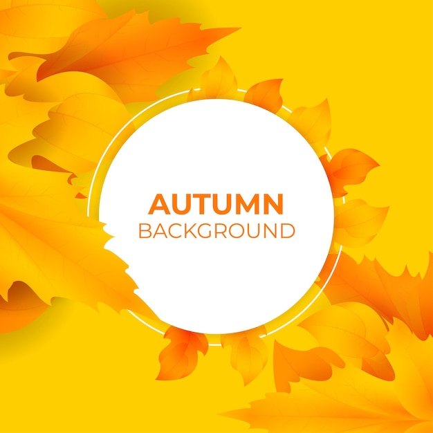 Autumn leaves background premium vector