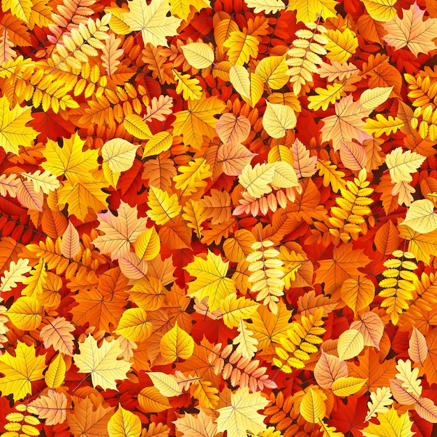 Autumn leaves background