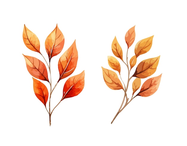 Autumn leaves clipart isolated vector illustration