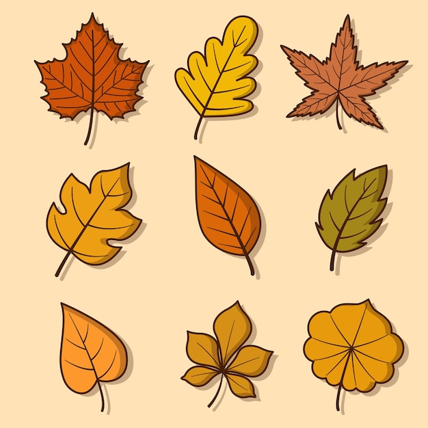 Autumn leaves collection cartoon illustration