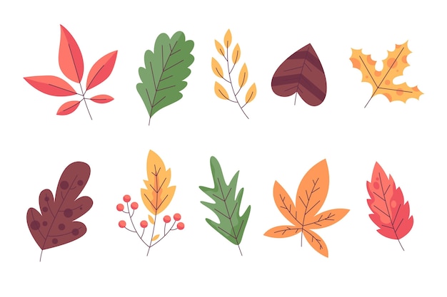 Autumn leaves collection