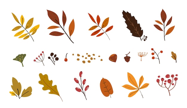 Autumn leaves doodle set Drawing leaf fall Autumn time sketch elements