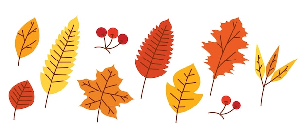 Autumn leaves elements vector illustration