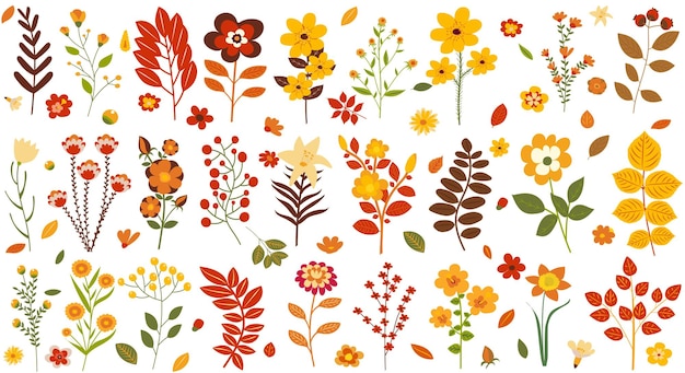 Autumn leaves and flowers set in flat design isolated vector