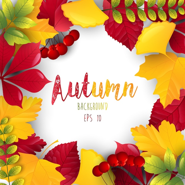 Autumn leaves frame isolated background