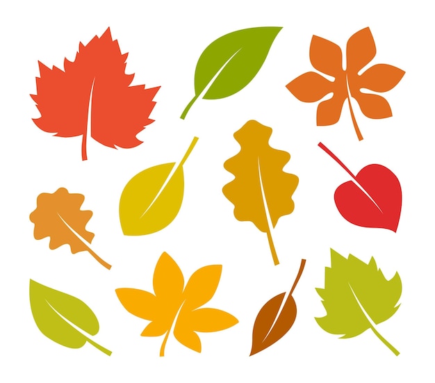 Autumn leaves icon set Colorful autumn leaves of trees Simple cartoon flat style