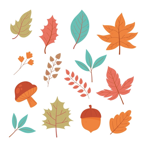 Autumn leaves maple branch foliage nature icon set