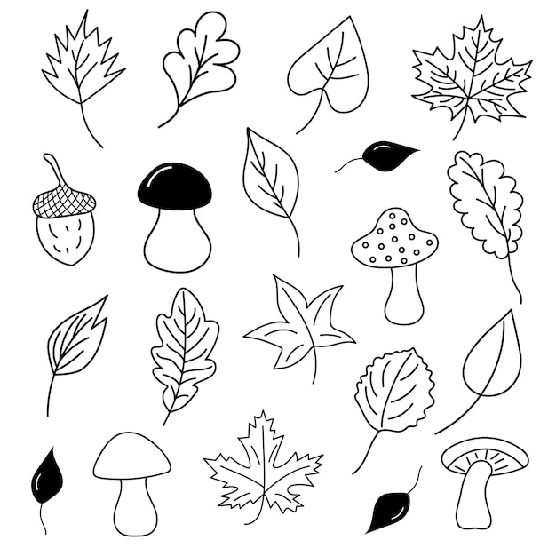 Autumn leaves, mushrooms and acorns in doodle style.