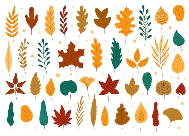 Autumn leaves Oak maple elm fallen leaf Hand drawn fall forest yellow or red foliage set