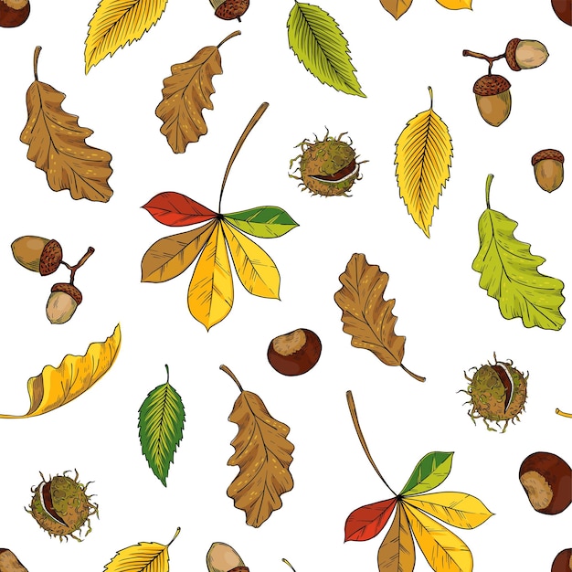 Autumn leaves pattern Seamless texture with yellow oak and maple foliage Red and orange chestnut tree twigs Forest acorns Decorative fall season herbarium background Vector nature print template