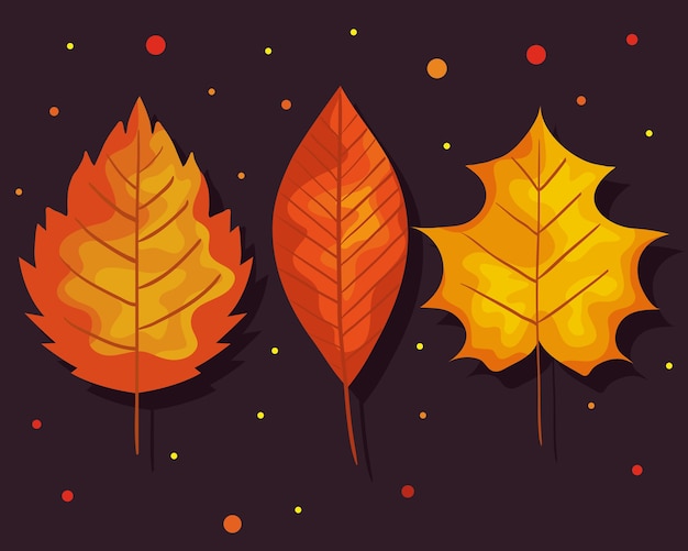 Autumn leaves set design, season nature ornament garden decoration and botany theme  illustration