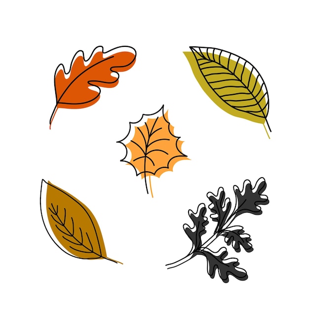 Autumn leaves set Fall leaf nature icons over white background Nature floral symbol collection