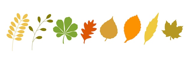 Autumn leaves set, isolated on white background. Simple cartoon flat style. Isolated vector