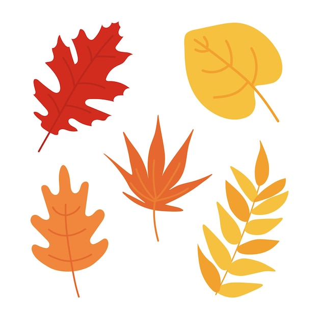 Autumn leaves set isolated on white background. Simple cartoon flat style