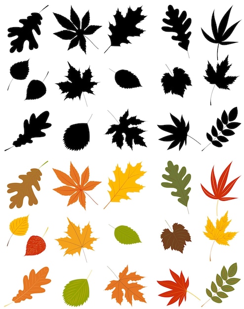 Autumn leaves set silhouette isolated vector