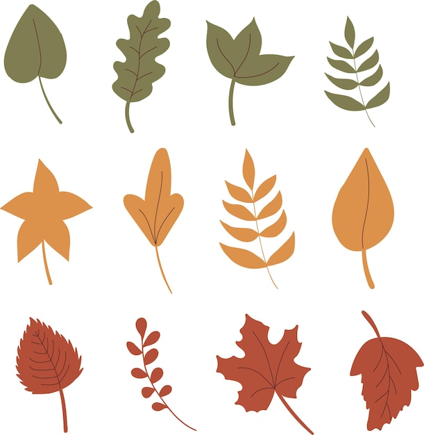 Autumn leaves set Simple flat style Isolated vector illustration Colored leaves Red yellow green