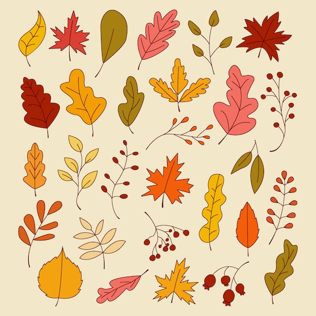 Autumn Leaves Set, Vector Illustration