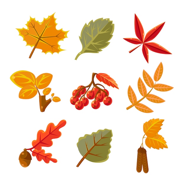 Autumn Leaves Set