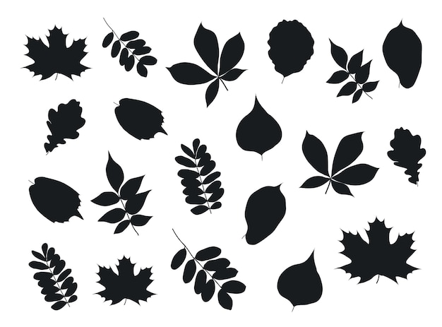 Autumn leaves Silhouettes premium vector template