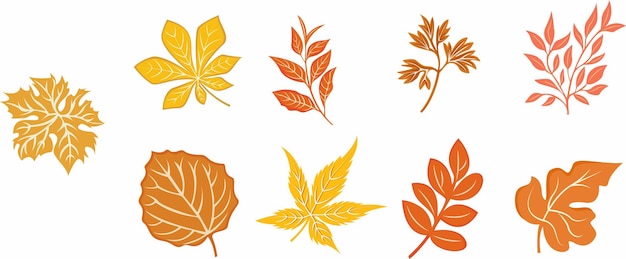 Autumn Leaves Vector Collection