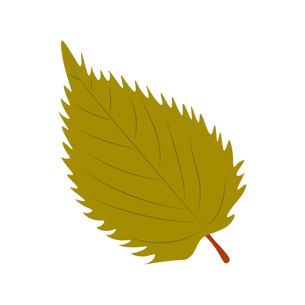 Autumn Leaves Vector Illustration Autumn leaves Top view of fall tree leaf Flat vector