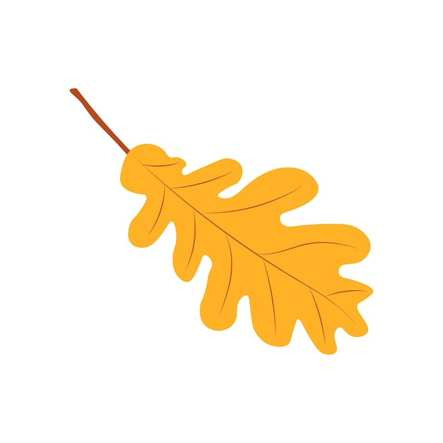 Autumn Leaves Vector Illustration Autumn leaves Top view of fall tree leaf Flat vector