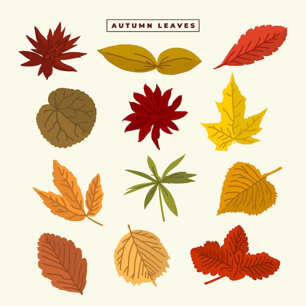 Autumn Leaves Vector Set Collection