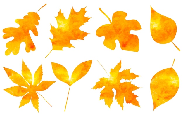 Autumn leaves watercolor silhouette isolated vector