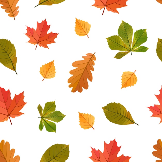 Autumn leaves on white background seamless pattern in cartoon style. Yellow, red, yellow, green