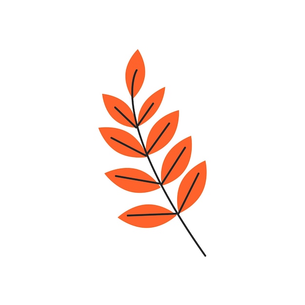 autumn leaves with veins rowan foliage season botanical Simple single sorb tree branch silhouette