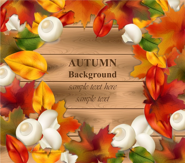 Autumn leaves on wood background. Realistic Vector illustration