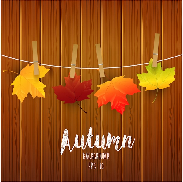 Autumn leaves on wooden background