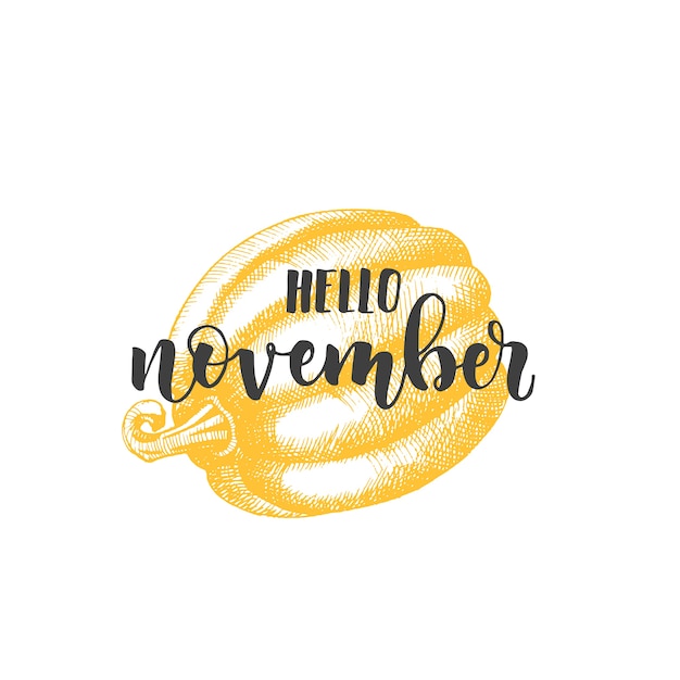 Autumn lettering calligraphy phrase - Hello november.