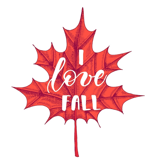 Autumn lettering calligraphy phrase - I love Fall.