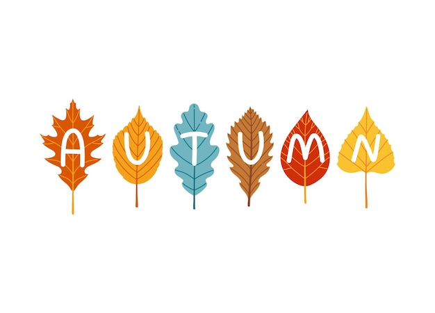 Autumn lettering on leaves fall season vector illustration